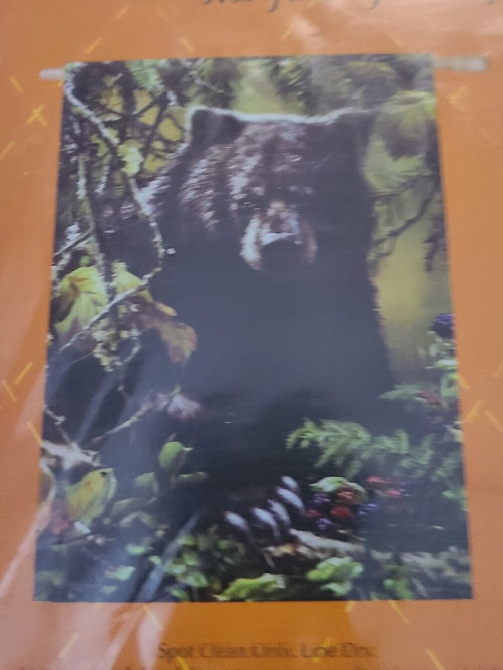 Rustic Cabin Mountain Black Bear Woods Flag by Evergreen 29" x 43" NEW Double
